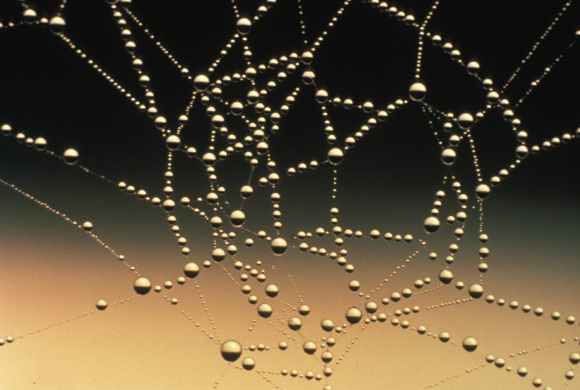 Dew pearls on a web: Is your Attitude Appropriate for a Dress Code which Requires Full Armor?