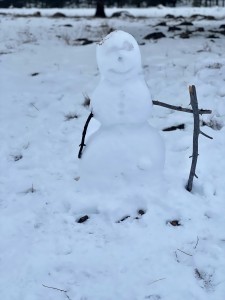 Snowman missing part of his face